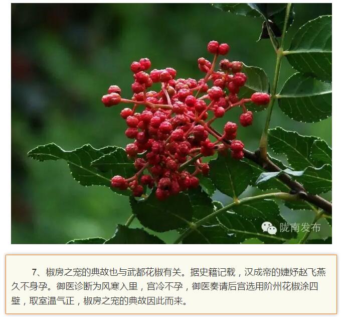 蘭渝鐵路最早由孫中山先生提出？在隴南，你不知道的事兒還有……