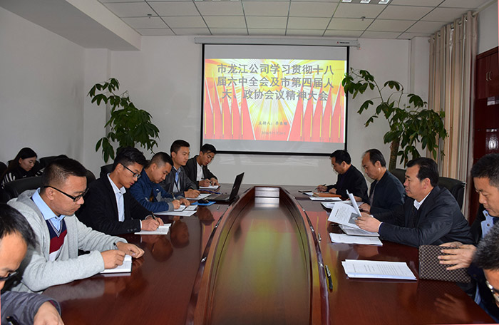 市龍江公司召開全體員工大會(huì)，專題傳達(dá)學(xué)習(xí)上級會(huì)議精神