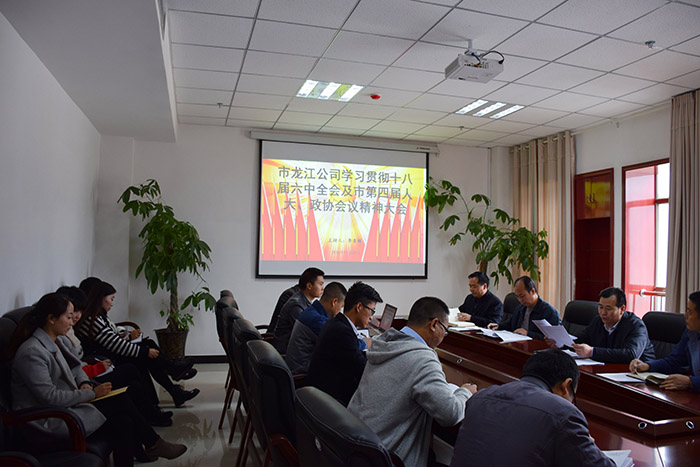 市龍江公司召開全體員工大會(huì)，專題傳達(dá)學(xué)習(xí)上級會(huì)議精神