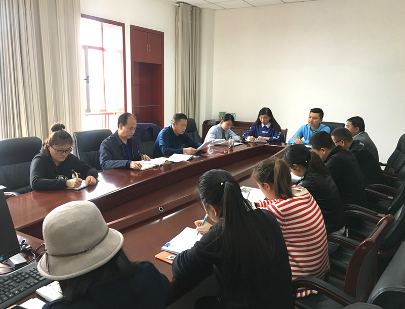 市龍江城鄉(xiāng)發(fā)展集團(tuán)專題學(xué)習(xí)近期中央、省、市紀(jì)律檢查委員會(huì)議精神