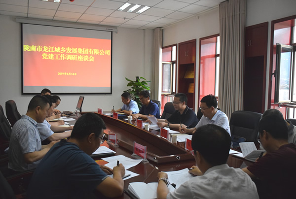 隴南市委常委、組織部部長(zhǎng)楊郃調(diào)研指導(dǎo)市龍江城鄉(xiāng)發(fā)展集團(tuán)公司黨建工作